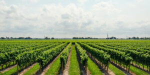 Solano County