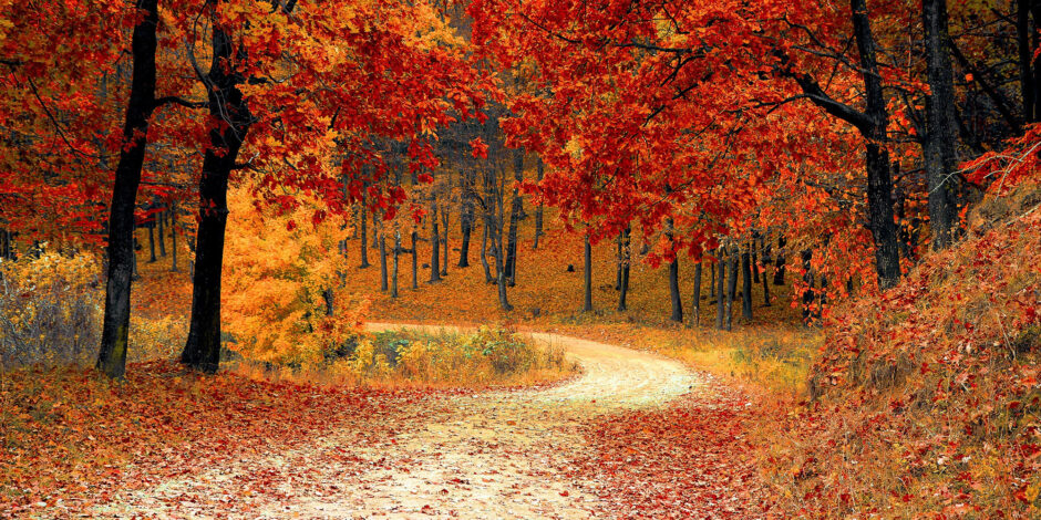 road